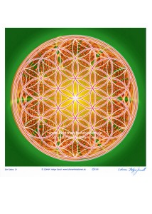 L-7.4.304 Blume Des Lebens I
