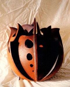 K-1.1.002 Samenkapsel Frontalansicht