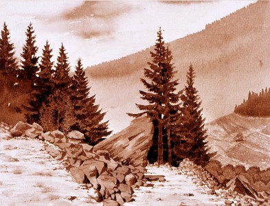 1980 Suedtirol Holzbeizenstudie 30x20cm